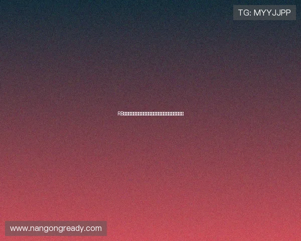 RB莱比锡最新赛季动态解析球队转会策略与未来发展方向